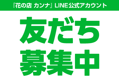 花の店カンナ LINE公式アカウント　友だち募集中